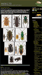 Mobile Screenshot of insects.nature4stock.com